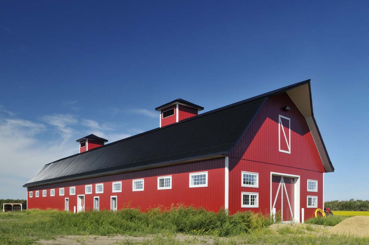 Steel Roofing